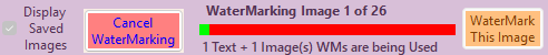 CanceWaterMarking