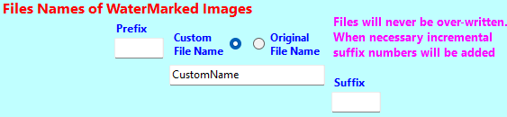 File Names